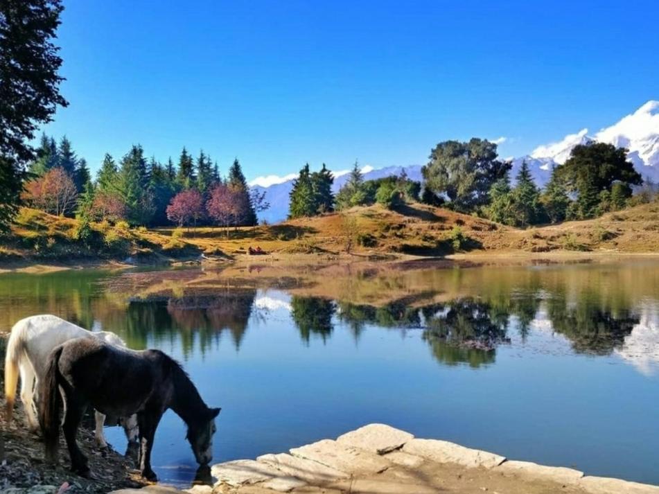 Moon Hotel Tungnath Ukhimath 外观 照片